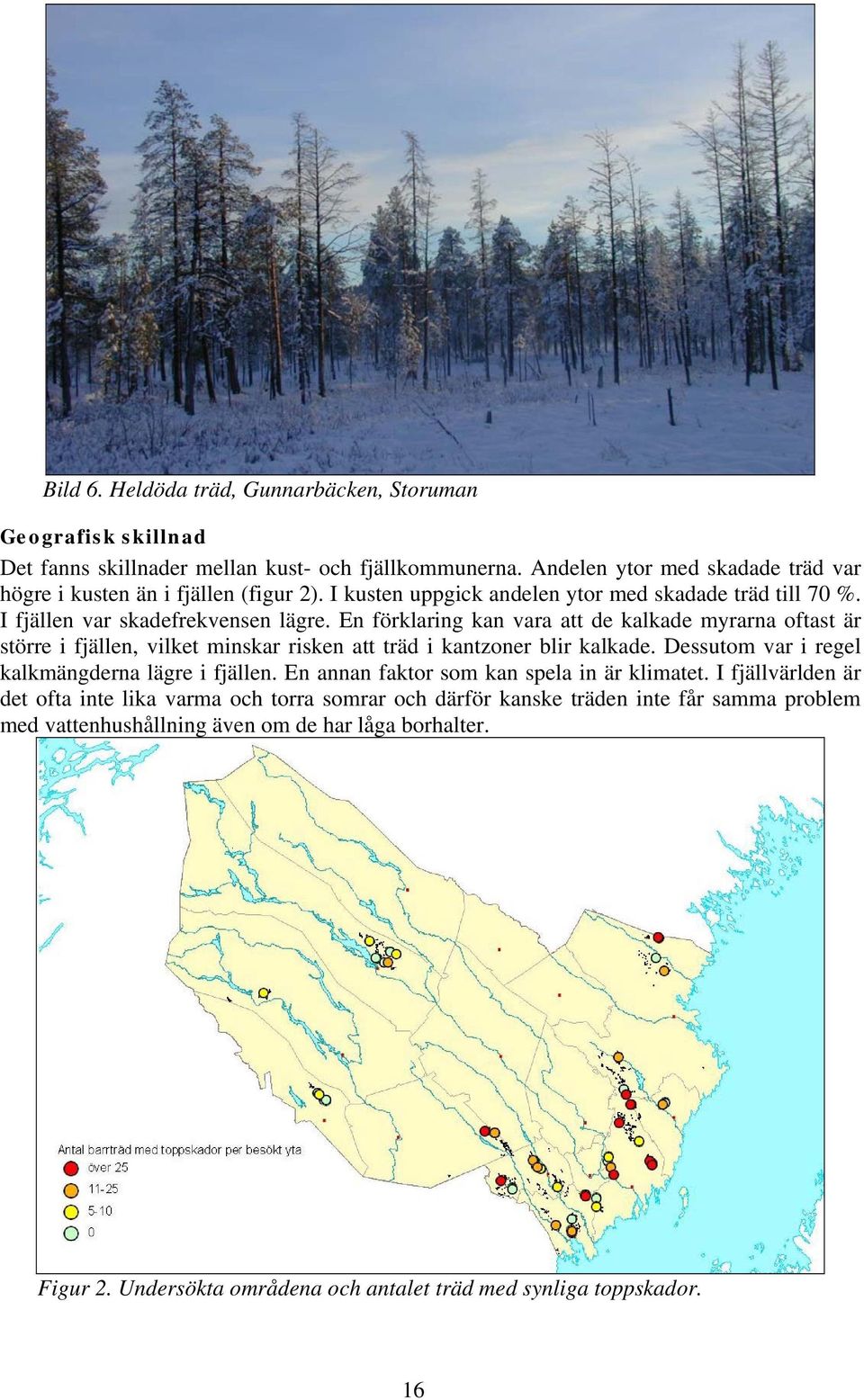 En förklaring kan vara att de kalkade myrarna oftast är större i fjällen, vilket minskar risken att träd i kantzoner blir kalkade. Dessutom var i regel kalkmängderna lägre i fjällen.