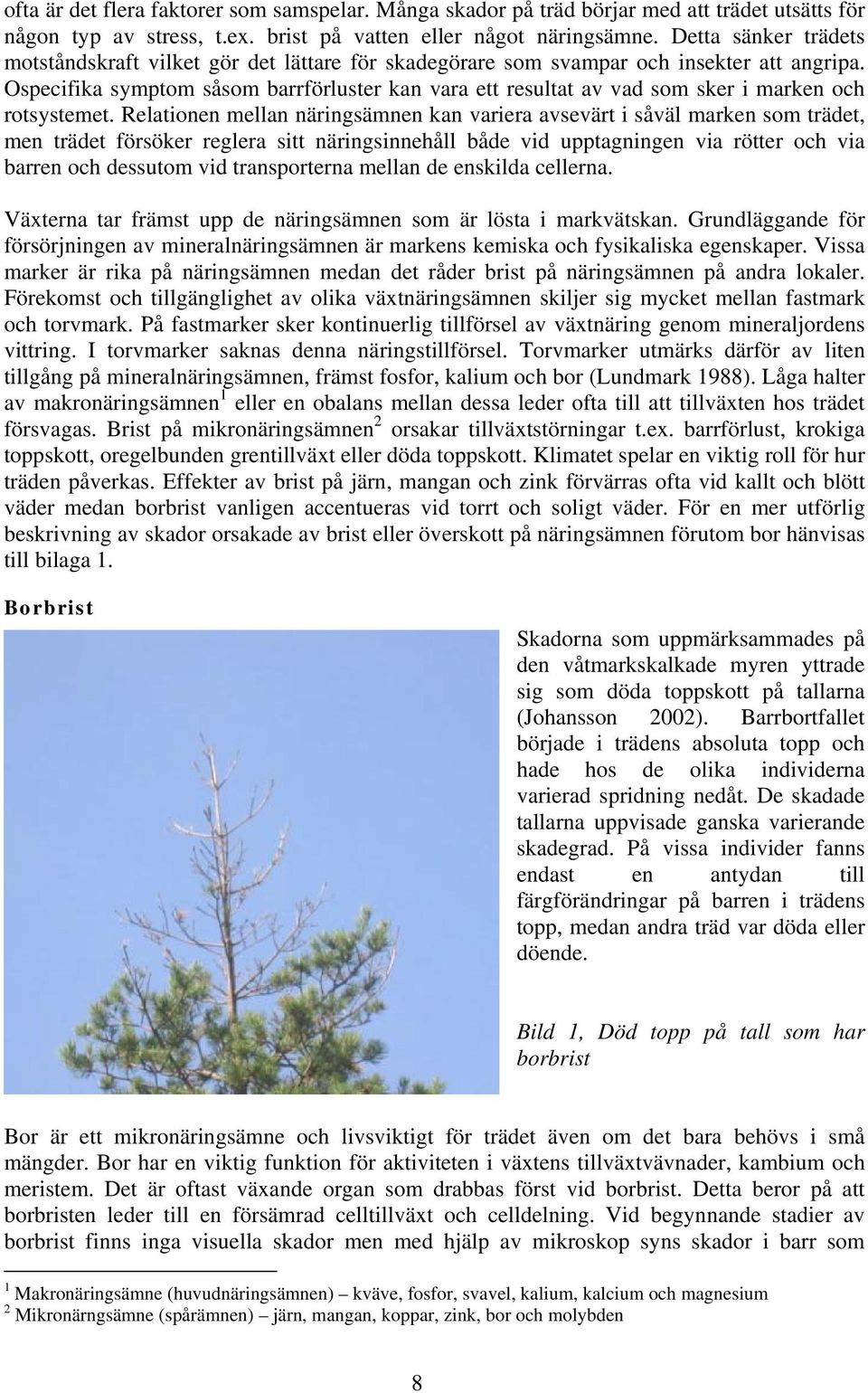 Ospecifika symptom såsom barrförluster kan vara ett resultat av vad som sker i marken och rotsystemet.