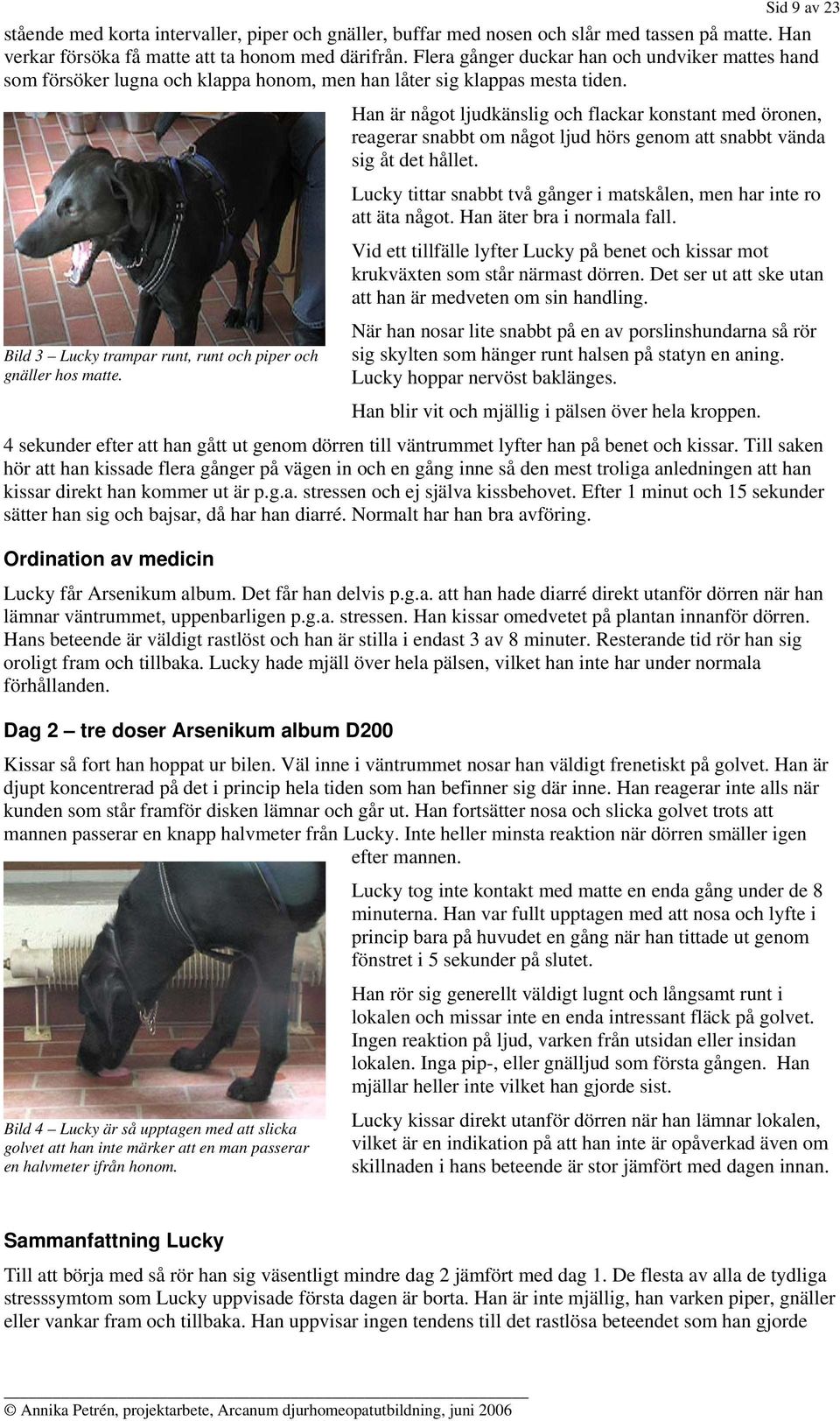 Arsenikum albums och Aconitum napellus lugnande effekt på hund. - PDF Free  Download