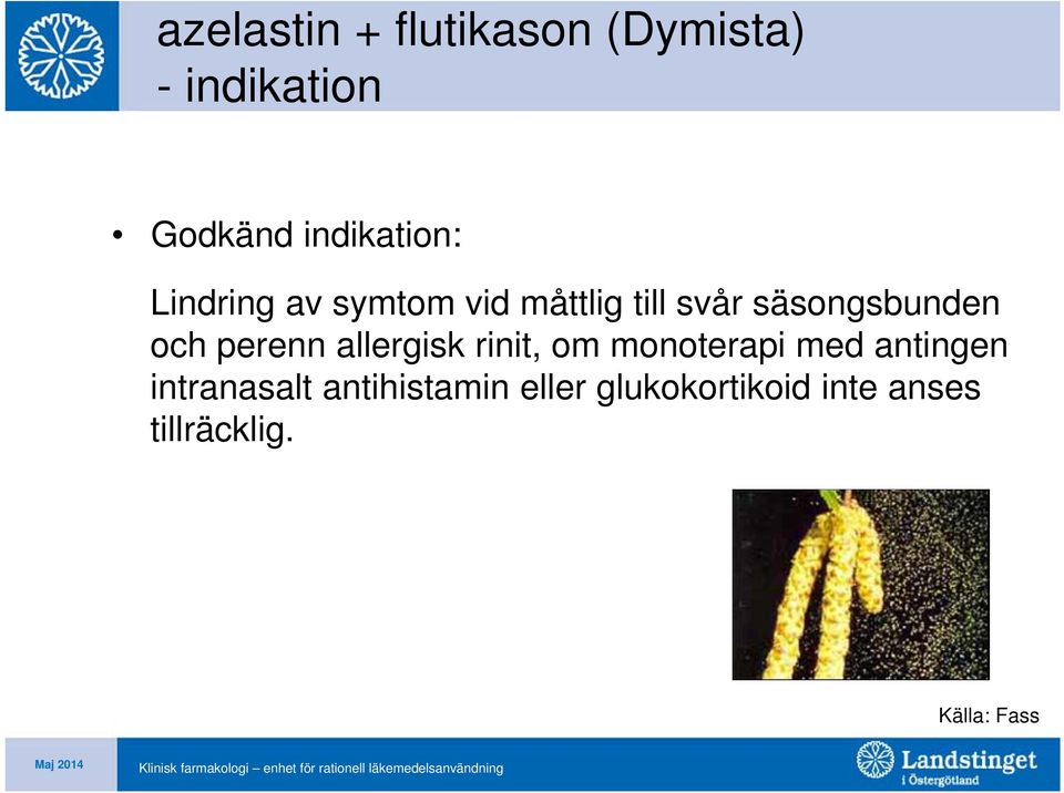 säsongsbunden och perenn allergisk rinit, om monoterapi med