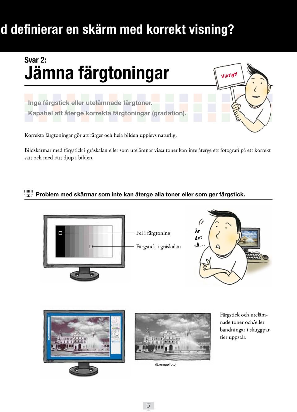 Bildskärmar med färgstick i gråskalan eller som utelämnar vissa toner kan inte återge ett fotografi på ett korrekt sätt och med rätt djup i bilden.