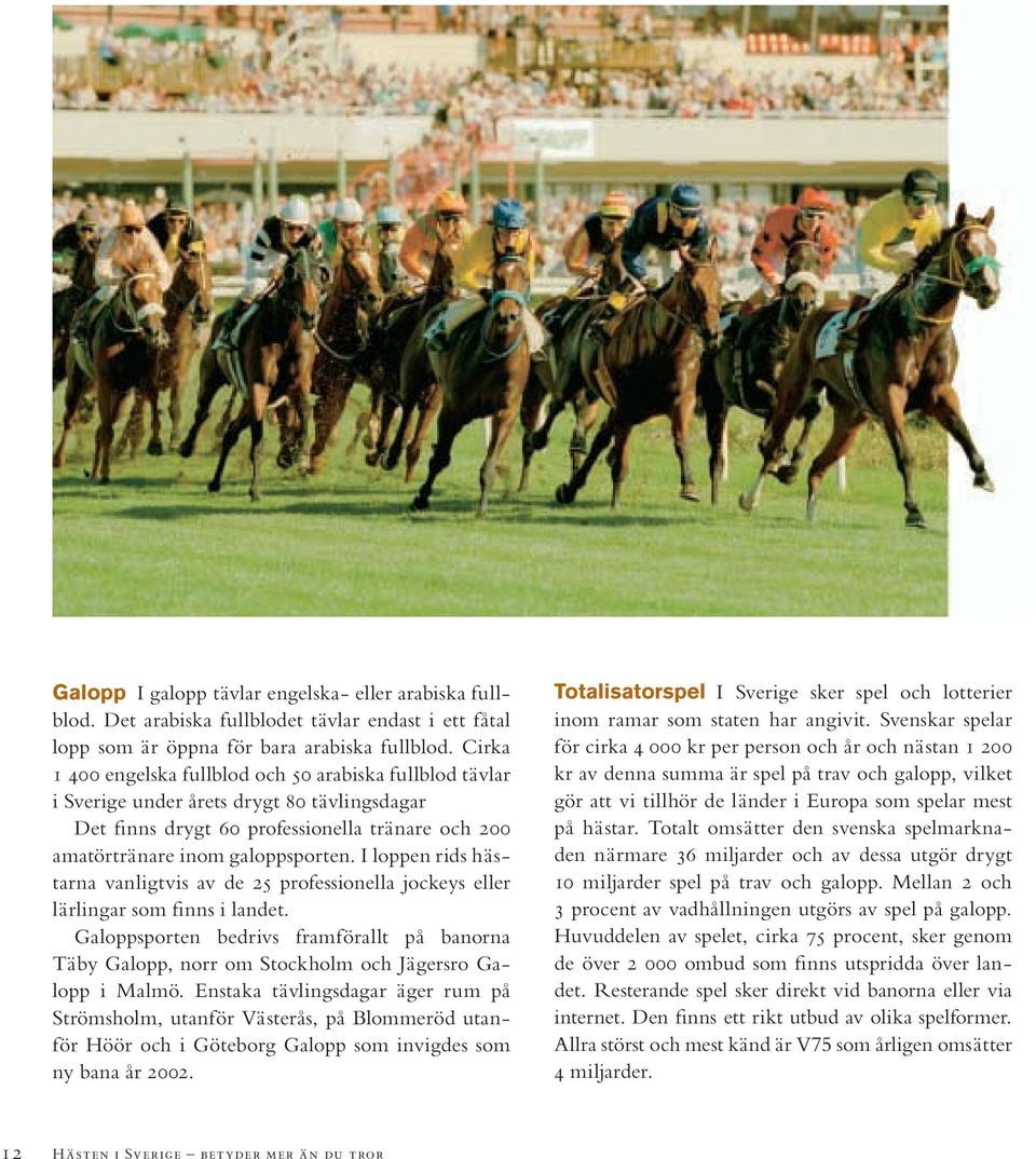 I loppen rids hästarna vanligtvis av de 25 professionella jockeys eller lärlingar som finns i landet.
