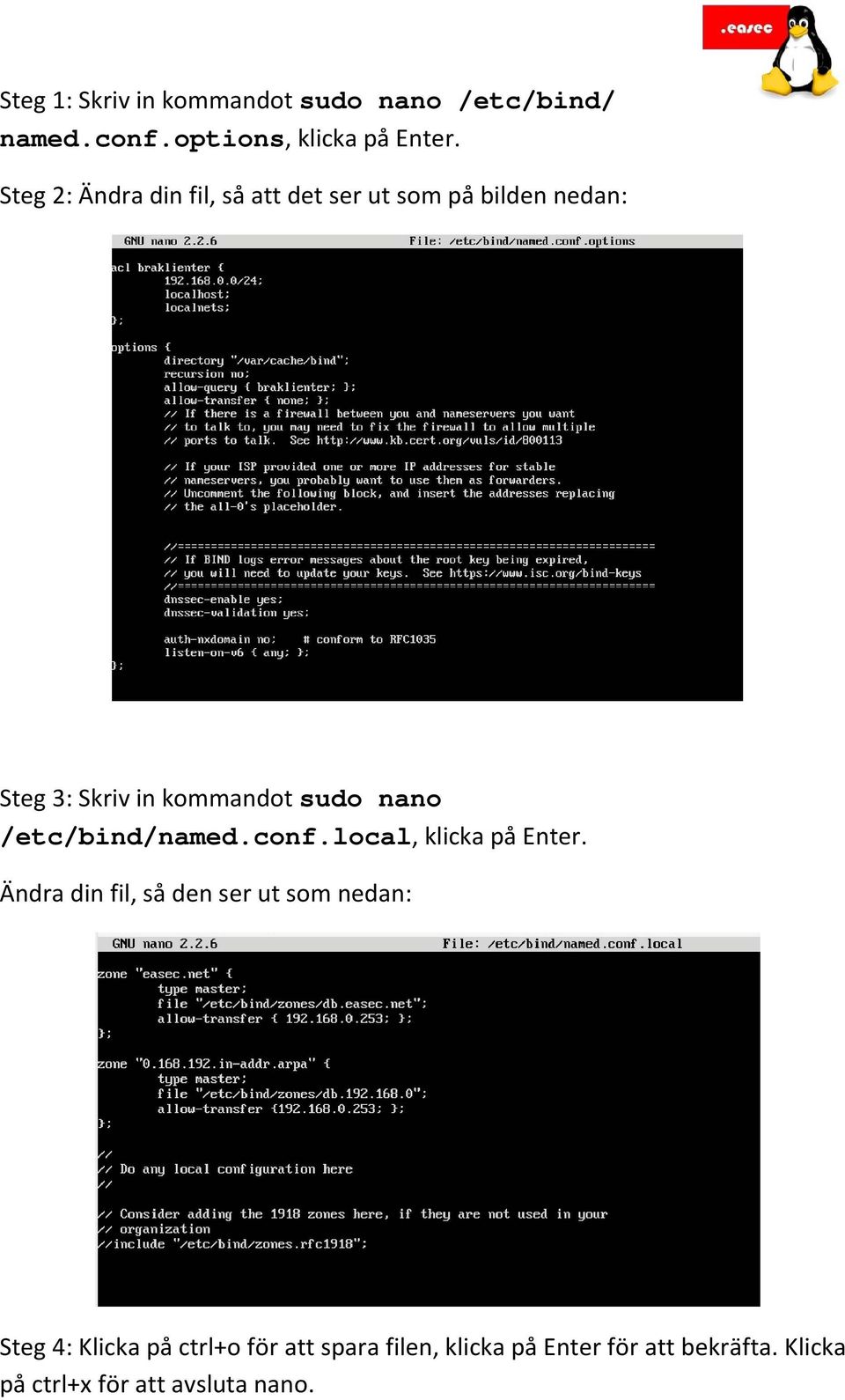 nano /etc/bind/named.conf.local, klicka på Enter.