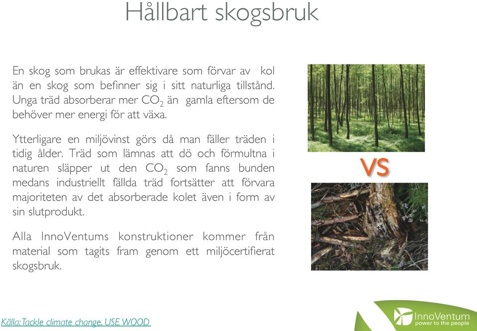 Träd som lämnas att dö och förmultna i naturen släpper ut den CO 2 som fanns bunden medans industriellt fällda träd