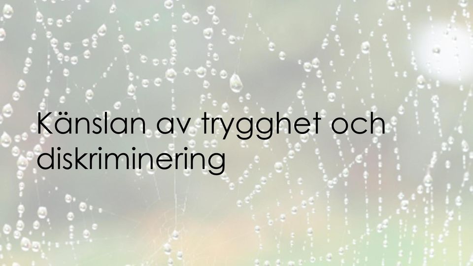 trygghet