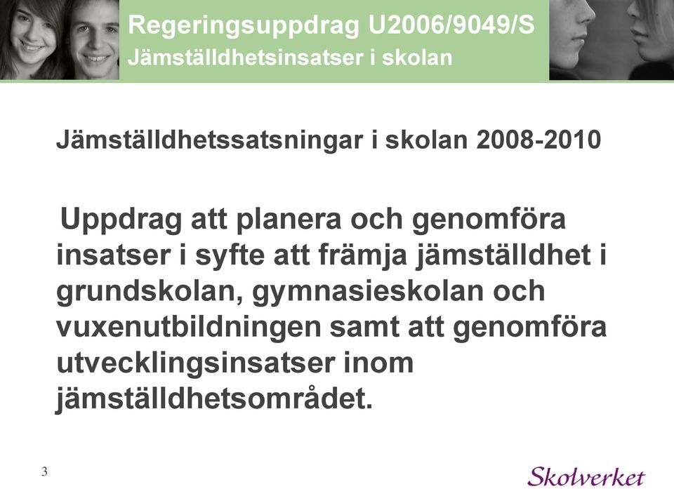 genomföra insatser i syfte att främja jämställdhet i grundskolan,