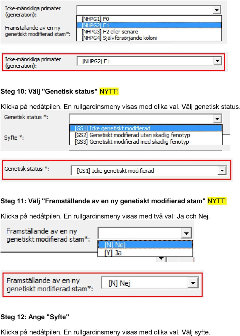 Steg 11: Välj "Framställande av en ny genetiskt modifierad stam" NYTT!