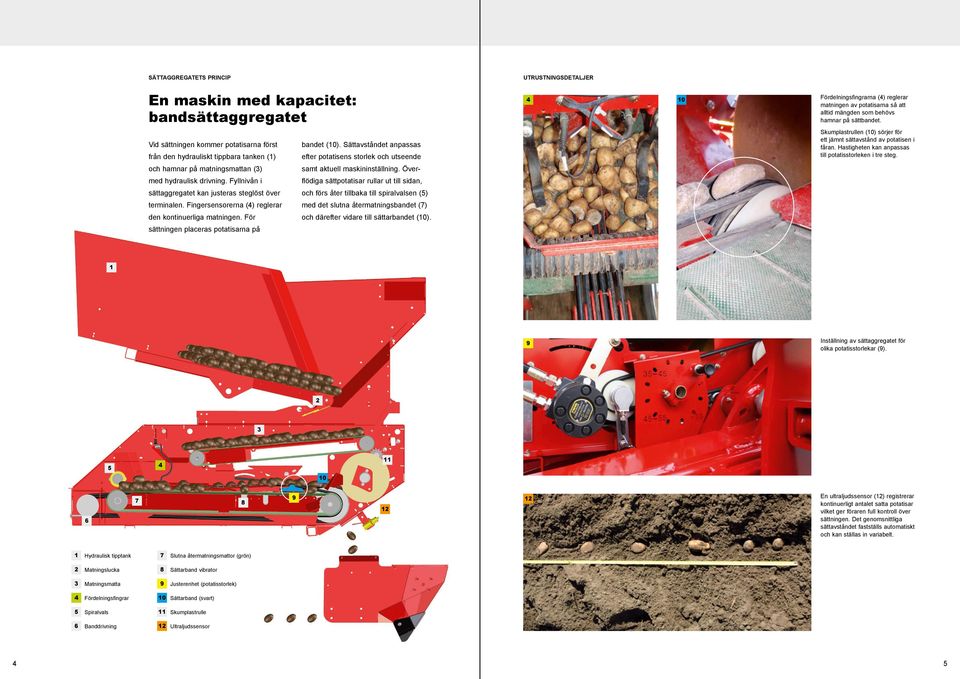 Sättavståndet anpassas efter potatisens storlek och utseende Skumplastrullen (10) sörjer för ett jämnt sättavstånd av potatisen i fåran. Hastigheten kan anpassas till potatisstorleken i tre steg.