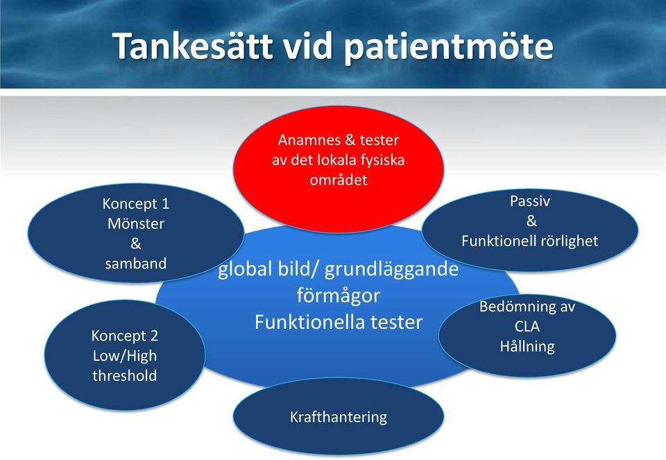 området global bild/ grundläggande förmågor Funktionella tester