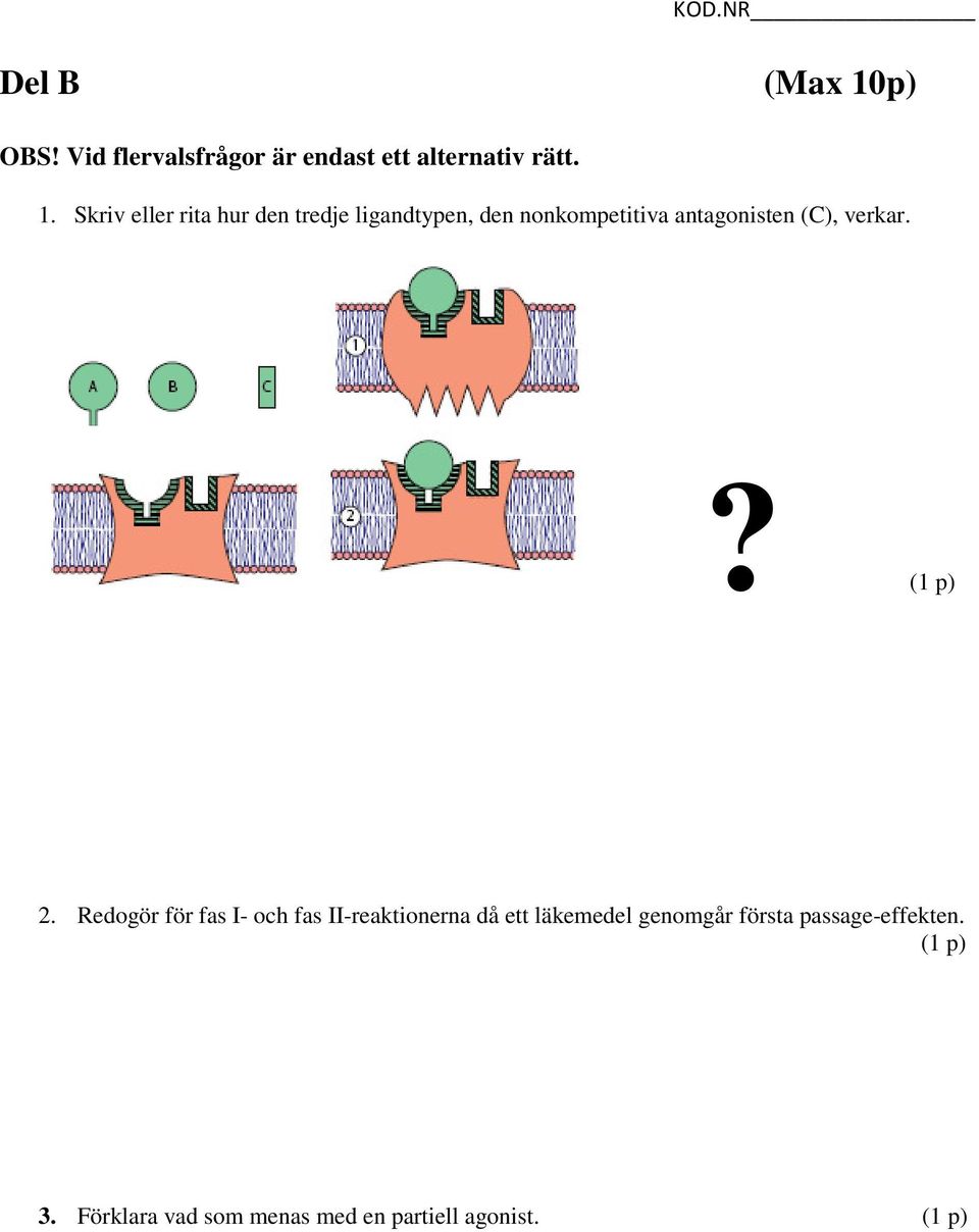 Skriv eller rita hur den tredje ligandtypen, den nonkompetitiva antagonisten (C),
