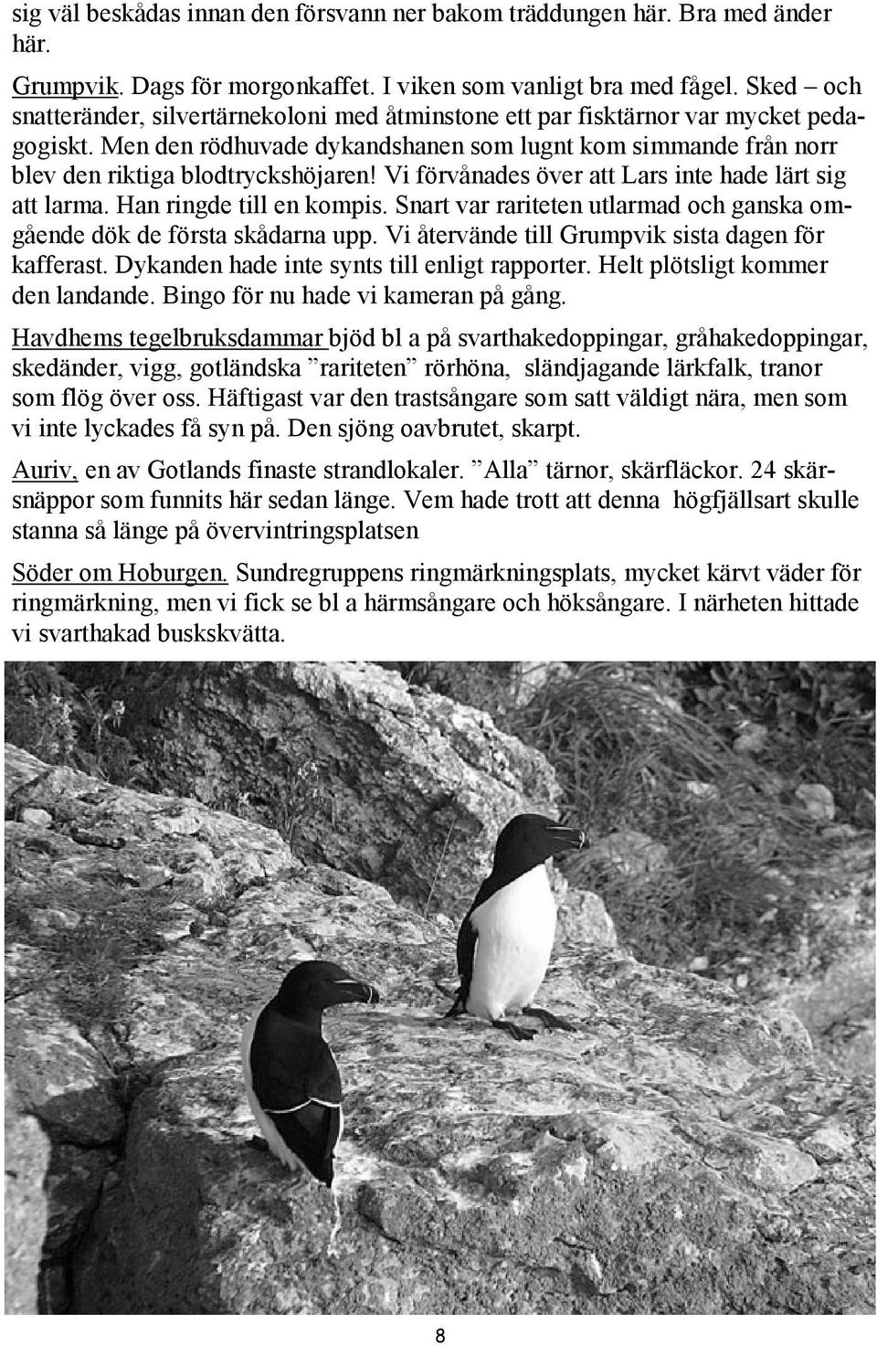 Vi förvånades över att Lars inte hade lärt sig att larma. Han ringde till en kompis. Snart var rariteten utlarmad och ganska omgående dök de första skådarna upp.