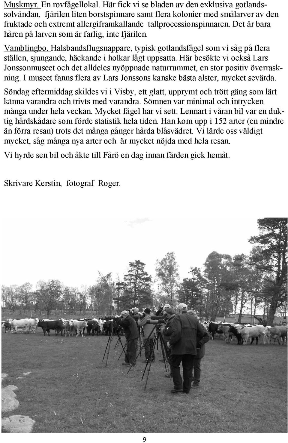 Det är bara håren på larven som är farlig, inte fjärilen. Vamblingbo. Halsbandsflugsnappare, typisk gotlandsfågel som vi såg på flera ställen, sjungande, häckande i holkar lågt uppsatta.