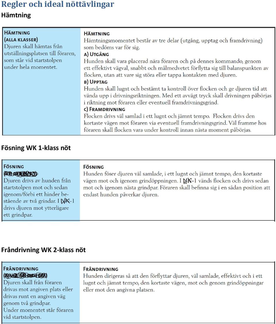 Fösning WK 1-klass nöt