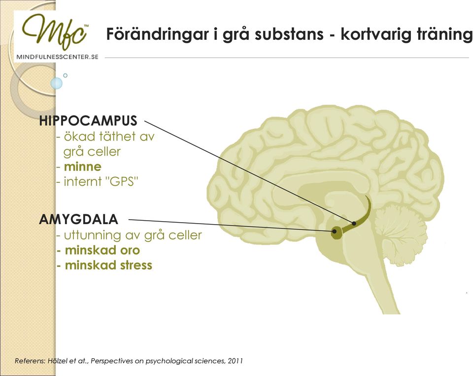 uttunning av grå celler - minskad oro - minskad stress