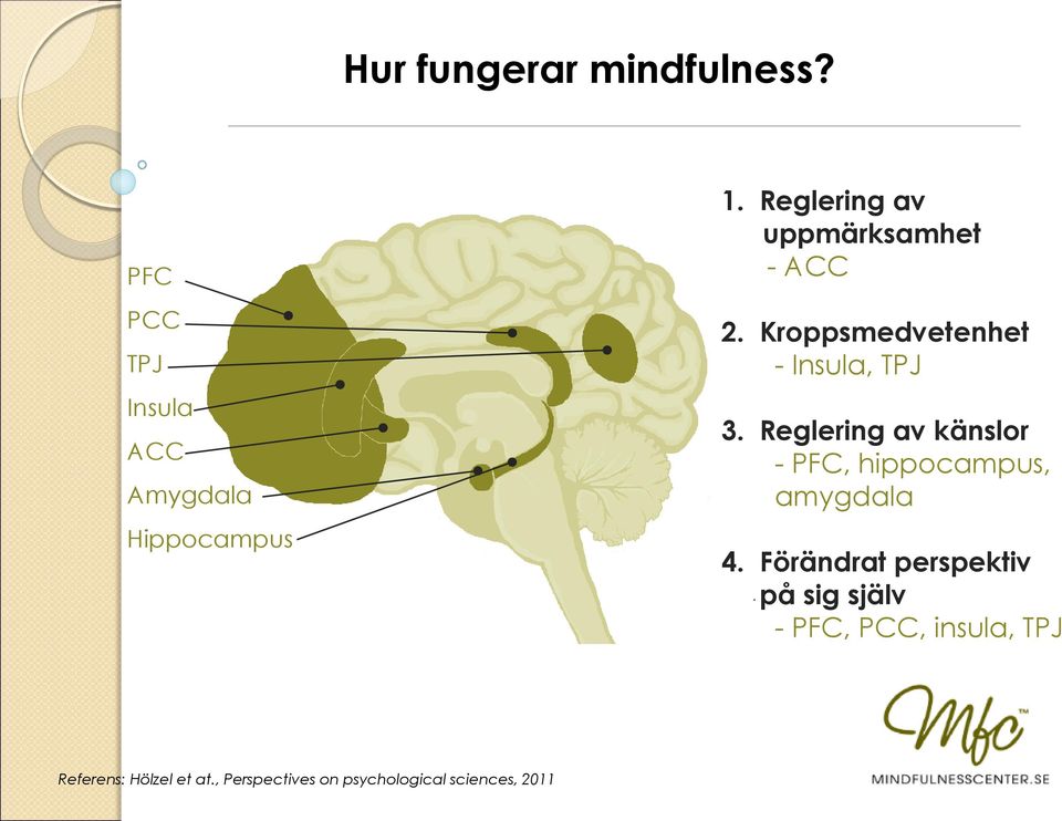 Reglering av känslor - PFC, hippocampus, amygdala 4.