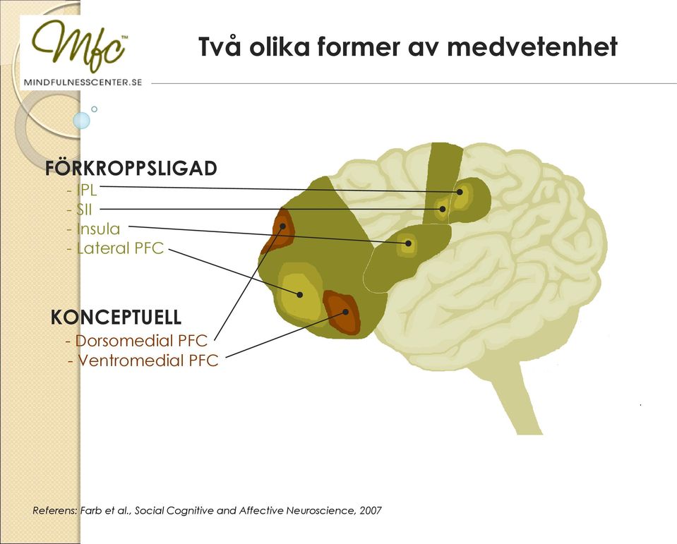 Dorsomedial PFC - Ventromedial PFC Referens: Farb