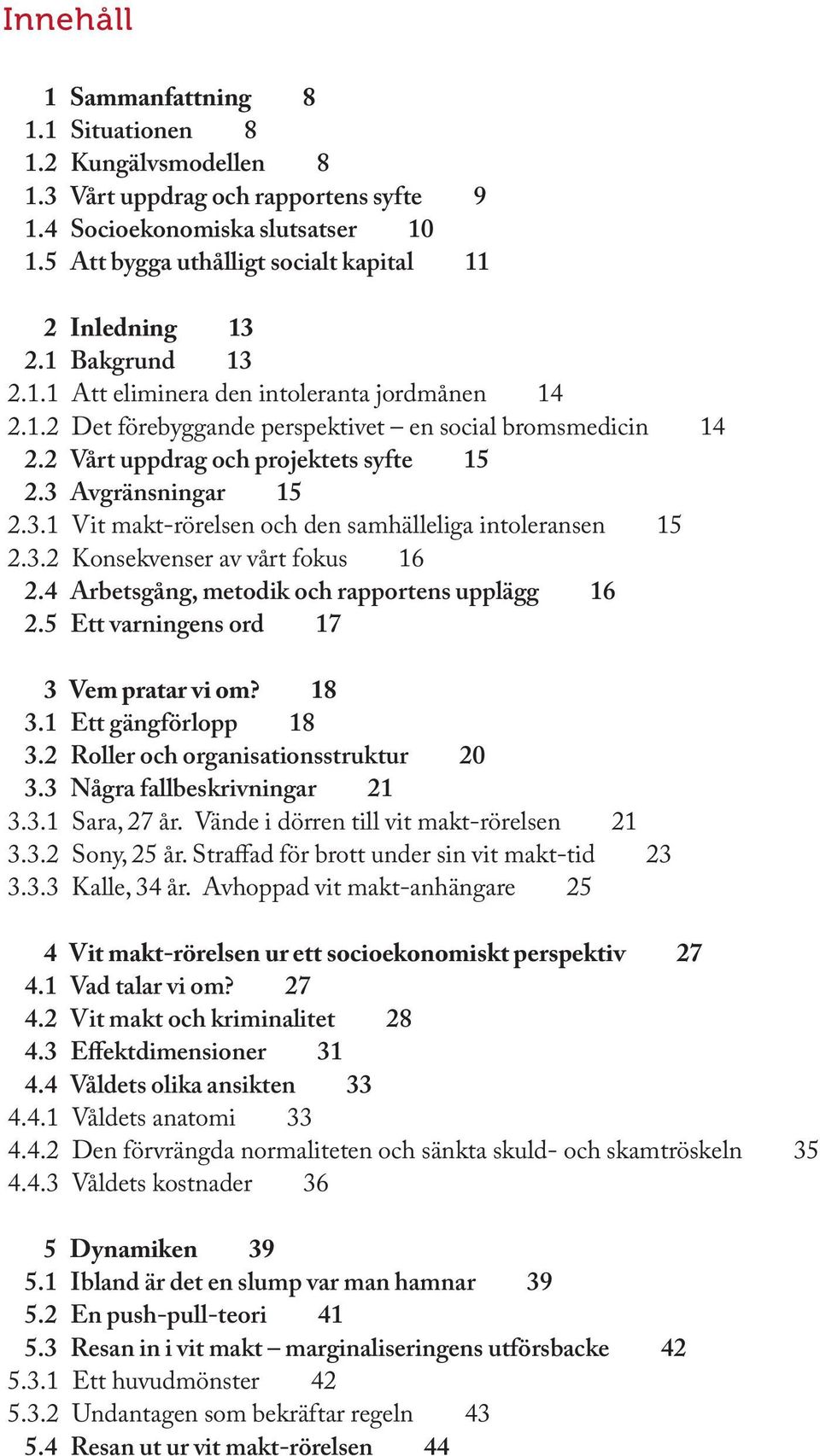 2 Vårt uppdrag och projektets syfte 15 2.3 Avgränsningar 15 2.3.1 Vit makt-rörelsen och den samhälleliga intoleransen 15 2.3.2 Konsekvenser av vårt fokus 16 2.