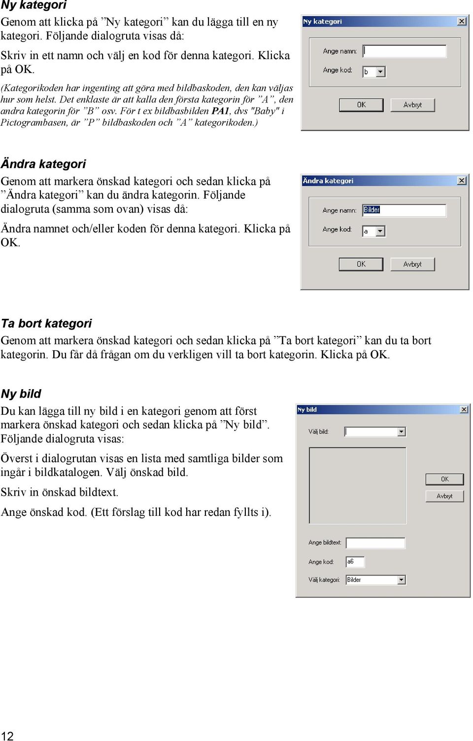 För t ex bildbasbilden PA1, dvs "Baby" i Pictogrambasen, är P bildbaskoden och A kategorikoden.