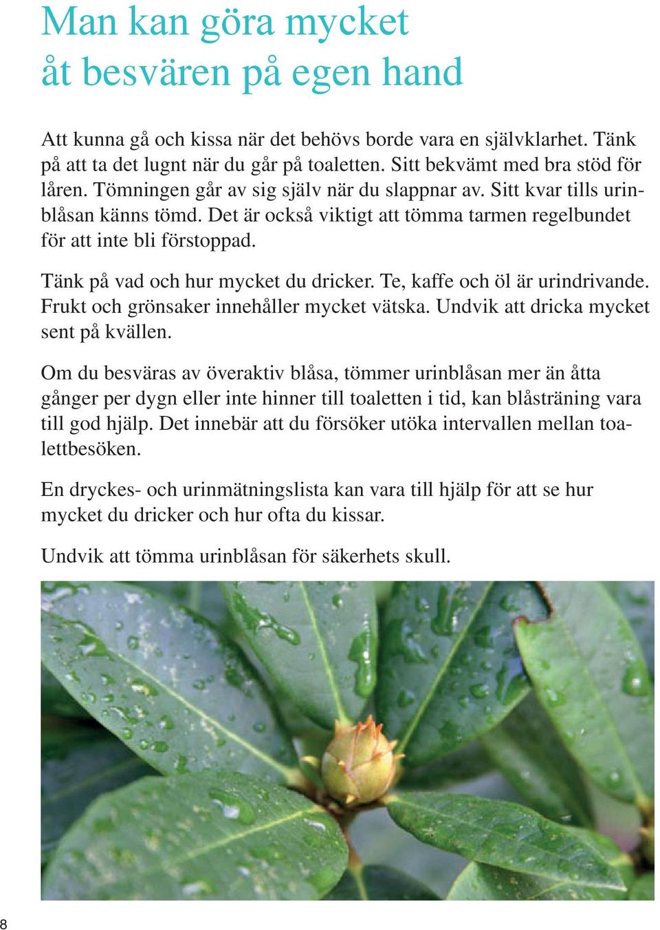 Tänk på vad och hur mycket du dricker. Te, kaffe och öl är urindrivande. Frukt och grönsaker innehåller mycket vätska. Undvik att dricka mycket sent på kvällen.