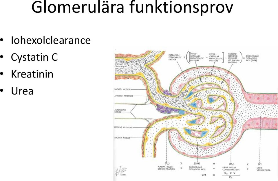 Iohexolclearance