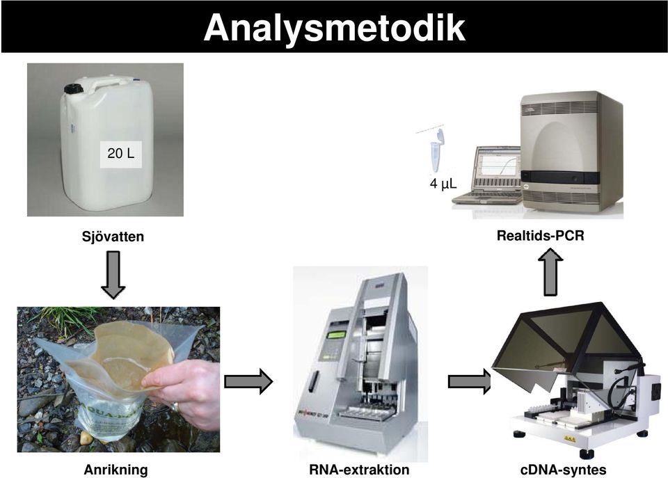 Realtids-PCR