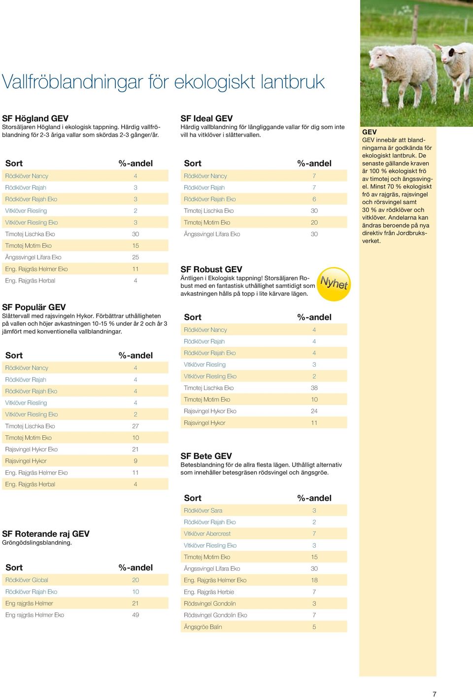 Rajgräs Herbal 4 SF Populär GEV Slåttervall med rajsvingeln Hykor. Förbättrar uthålligheten på vallen och höjer avkastningen 10-15 % under år 2 och år 3 jämfört med konventionella vallblandningar.