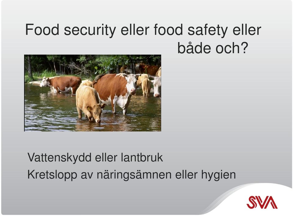 Vattenskydd eller lantbruk