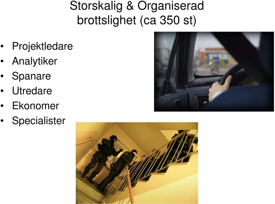 Specialister Storskalig &