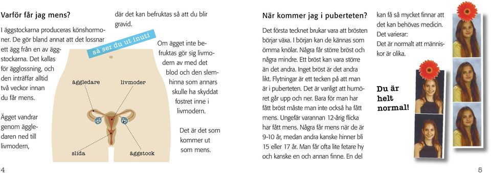 så ser du ut inuti äggledare livmoder slida äggstock Om ägget inte befruktas gör sig livmodern av med det blod och den slemhinna som annars skulle ha skyddat fostret inne i livmodern.