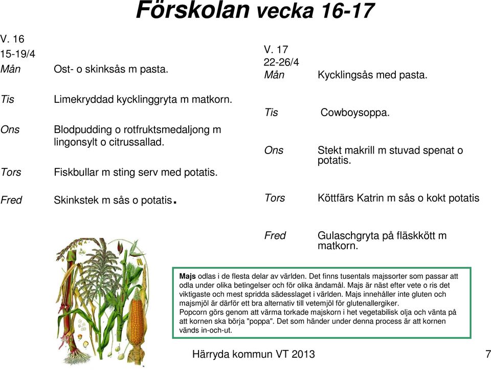 Köttfärs Katrin m sås o kokt potatis Gulaschgryta på fläskkött m Majs odlas i de flesta delar av världen.