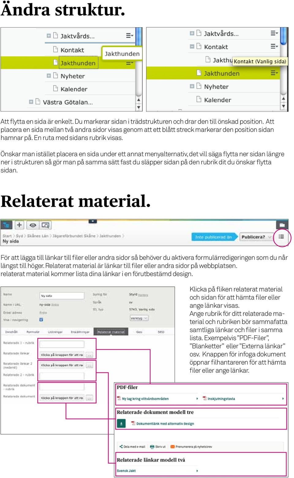 Önskar man istället placera en sida under ett annat menyalternativ, det vill säga flytta ner sidan längre ner i strukturen så gör man på samma sätt fast du släpper sidan på den rubrik dit du önskar