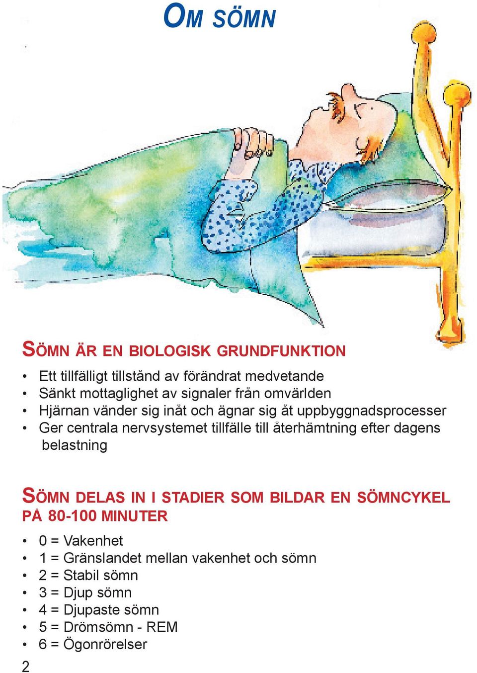 tillfälle till återhämtning efter dagens belastning SÖMN DELAS IN I STADIER SOM BILDAR EN SÖMNCYKEL PÅ 80-100 MINUTER 0