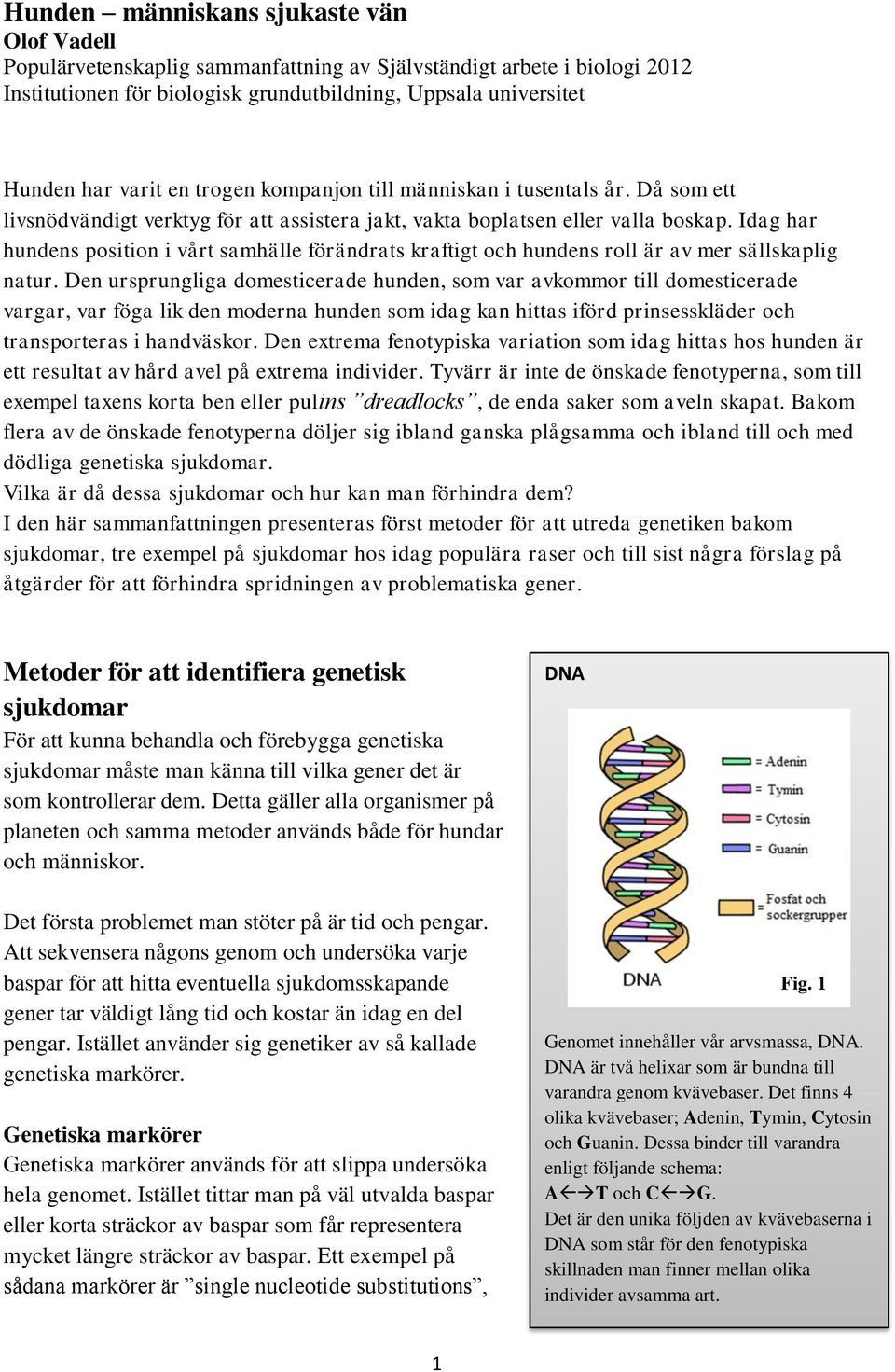 Idag har hundens position i vårt samhälle förändrats kraftigt och hundens roll är av mer sällskaplig natur.