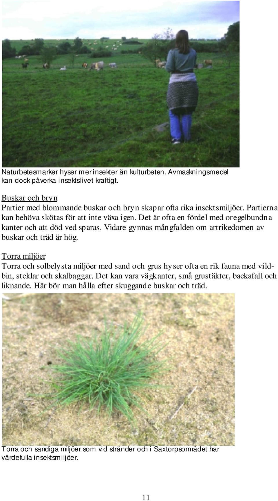 Det är ofta en fördel med oregelbundna kanter och att död ved sparas. Vidare gynnas mångfalden om artrikedomen av buskar och träd är hög.
