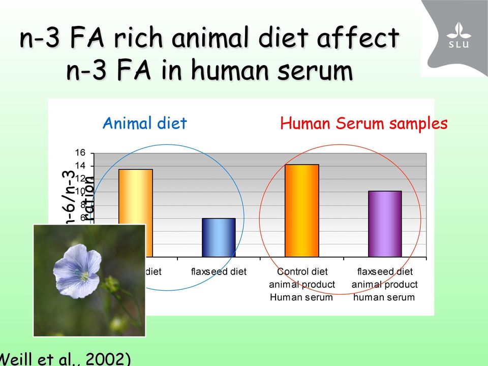Animal diet Human Serum samples 16 14 12 10 8 6 4 2 0 n-6/n-3