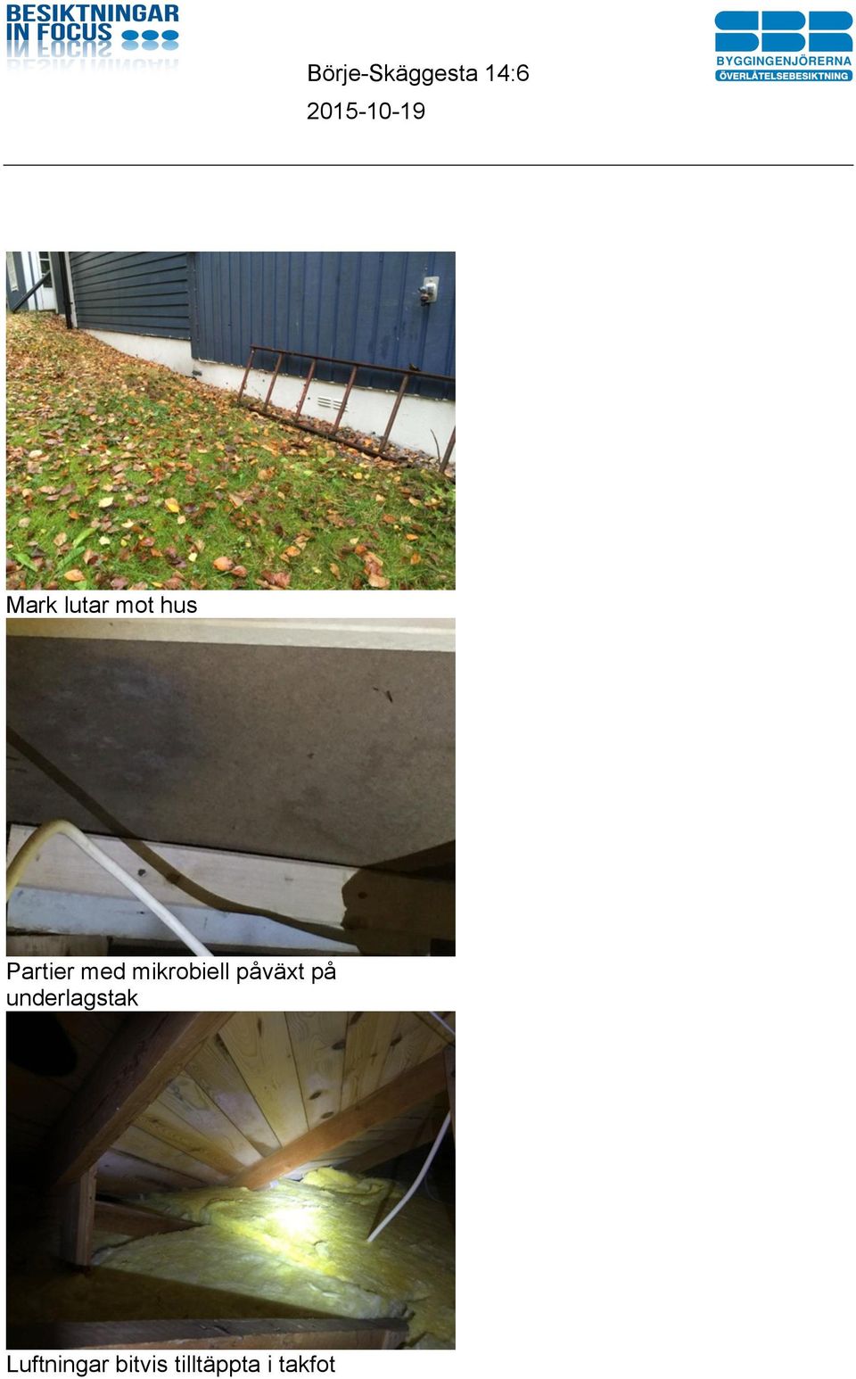 påväxt på underlagstak