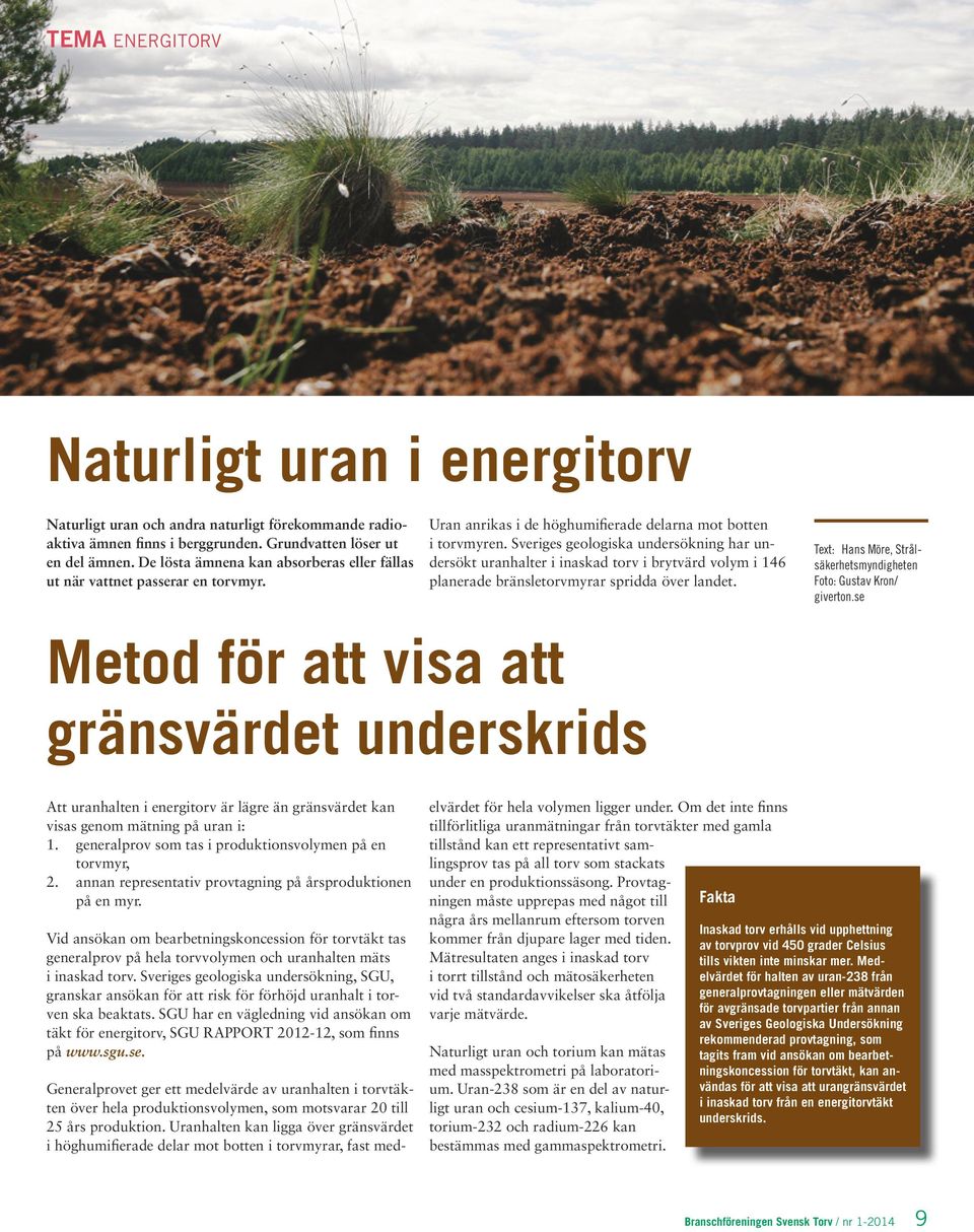 Sveriges geologiska undersökning har undersökt uranhalter i inaskad torv i brytvärd volym i 146 planerade bränsletorvmyrar spridda över landet.