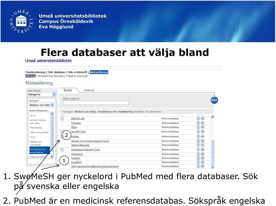 databaser. Sök på svenska eller engelska 2.