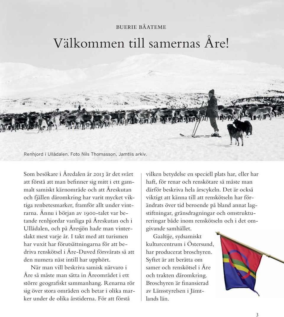 framför allt under vintrarna. Ännu i början av 1900-talet var betande renhjordar vanliga på Åreskutan och i Ullådalen, och på Åresjön hade man vinterslakt mest varje år.