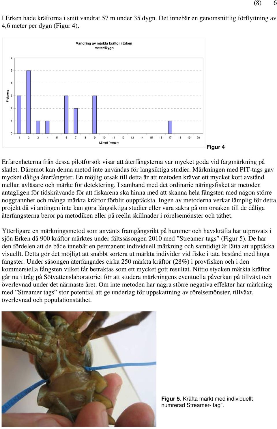 återfångsterna var mycket goda vid färgmärkning på skalet. Däremot kan denna metod inte användas för långsiktiga studier. Märkningen med PIT-tags gav mycket dåliga återfångster.