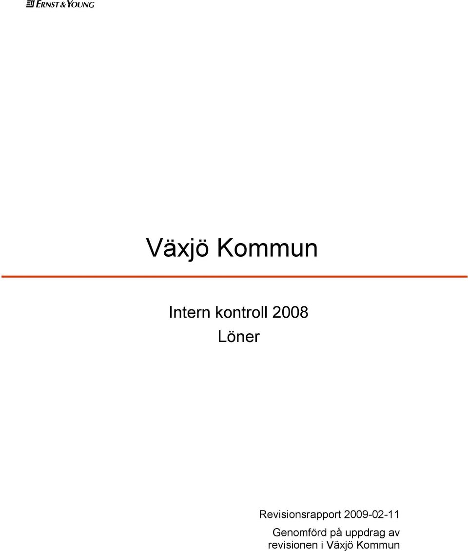Revisionsrapport 2009-02-11