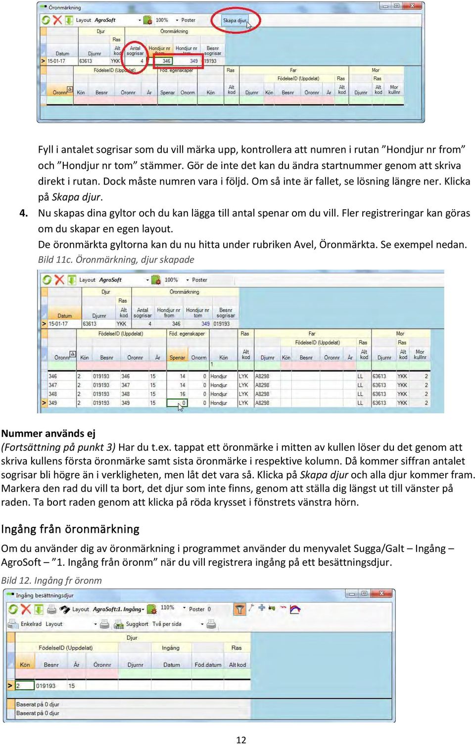 Fler registreringar kan göras om du skapar en egen layout. De öronmärkta gyltorna kan du nu hitta under rubriken Avel, Öronmärkta. Se exempel nedan. Bild 11c.