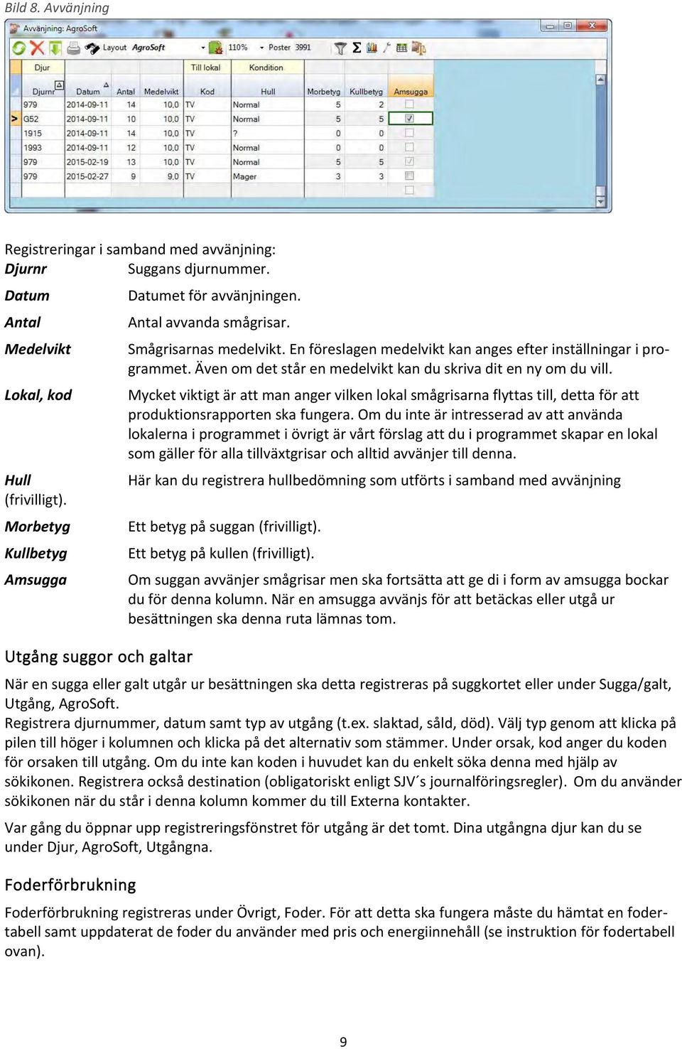 Även om det står en medelvikt kan du skriva dit en ny om du vill. Mycket viktigt är att man anger vilken lokal smågrisarna flyttas till, detta för att produktionsrapporten ska fungera.