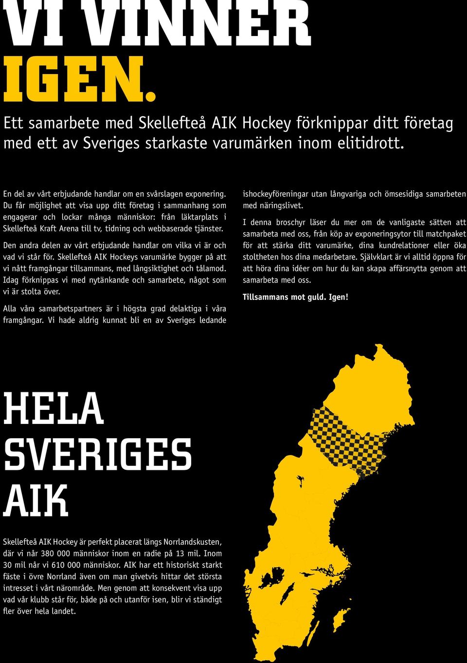 Den andra delen av vårt erbjudande handlar om vilka vi är och vad vi står för. Skellefteå AIK Hockeys varumärke bygger på att vi nått framgångar tillsammans, med långsiktighet och tålamod.