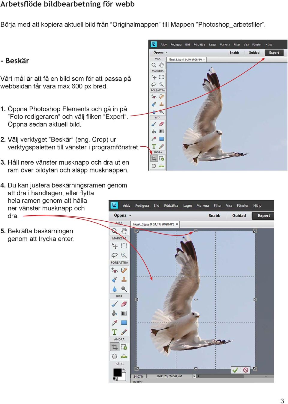 Öppna Photoshop Elements och gå in på Foto redigeraren och välj fliken Expert. Öppna sedan aktuell bild. 2. Välj verktyget Beskär (eng.