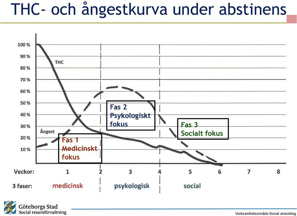 Medicinskt fokus Fas 2