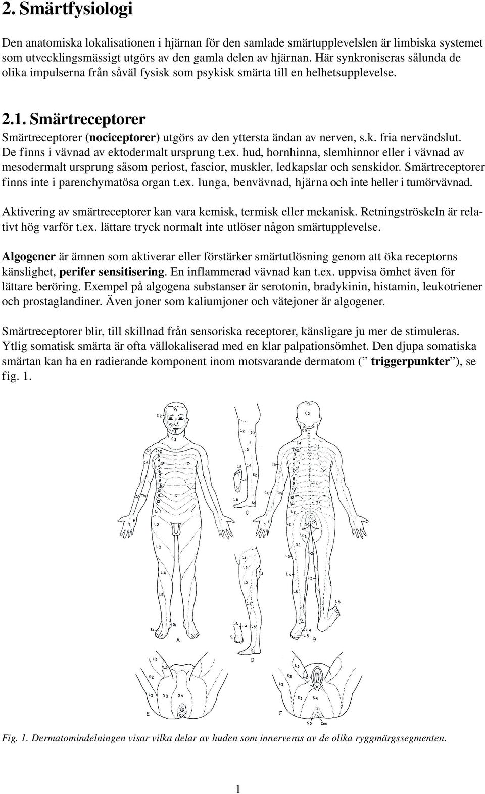 Smärtreceptorer Smärtreceptorer (nociceptorer) utgörs av den yttersta ändan av nerven, s.k. fria nervändslut. De finns i vävnad av ektodermalt ursprung t.ex.