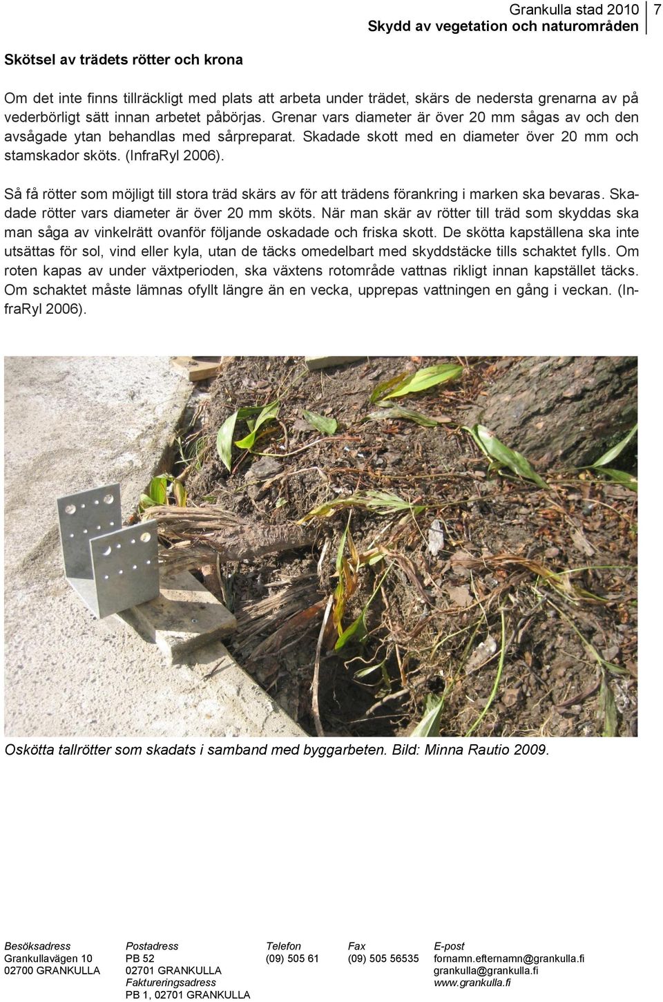 Så få rötter som möjligt till stora träd skärs av för att trädens förankring i marken ska bevaras. Skadade rötter vars diameter är över 20 mm sköts.
