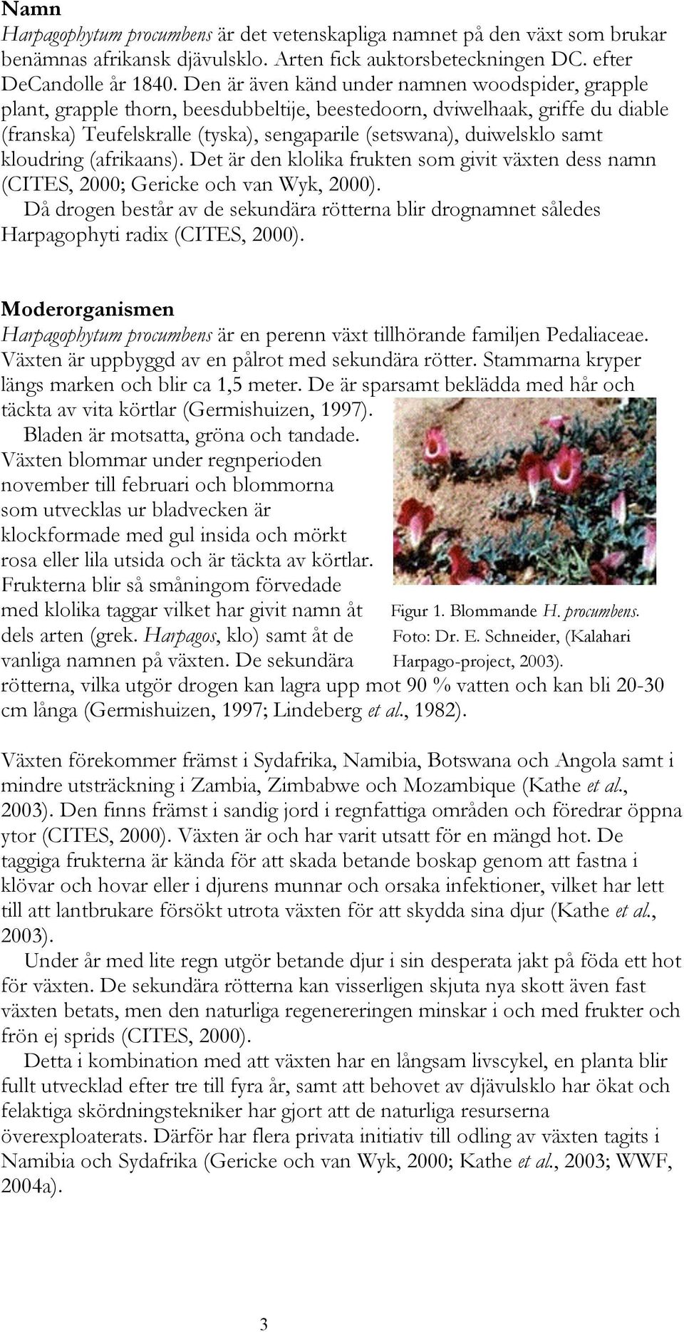 samt kloudring (afrikaans). Det är den klolika frukten som givit växten dess namn (CITES, 2000; Gericke och van Wyk, 2000).