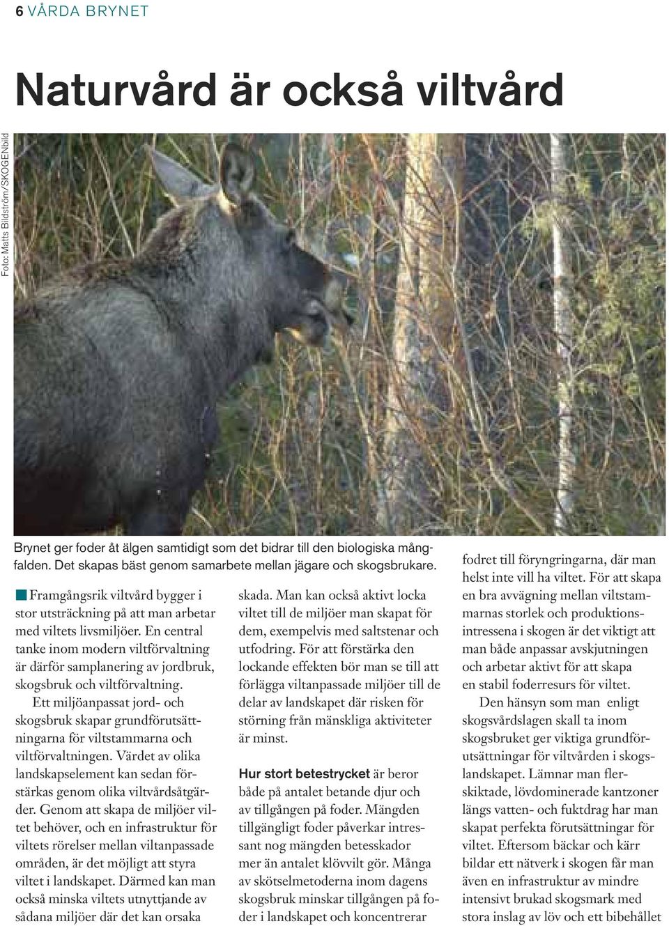 En central tanke inom modern viltförvaltning är därför samplanering av jordbruk, skogsbruk och viltförvaltning.